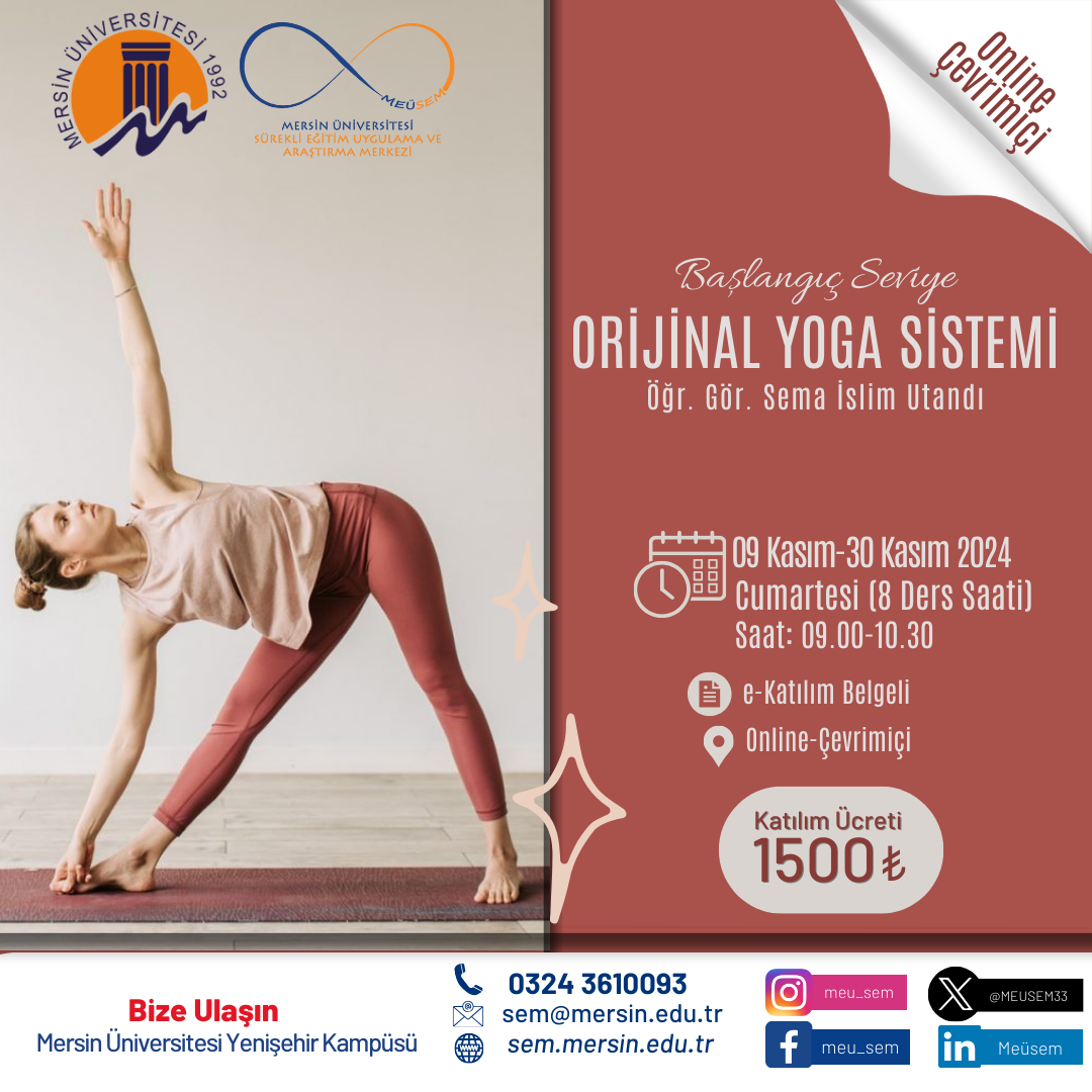 Başlangıç Seviye Orijinal Yoga Sistemi Online/Çevrimiçi