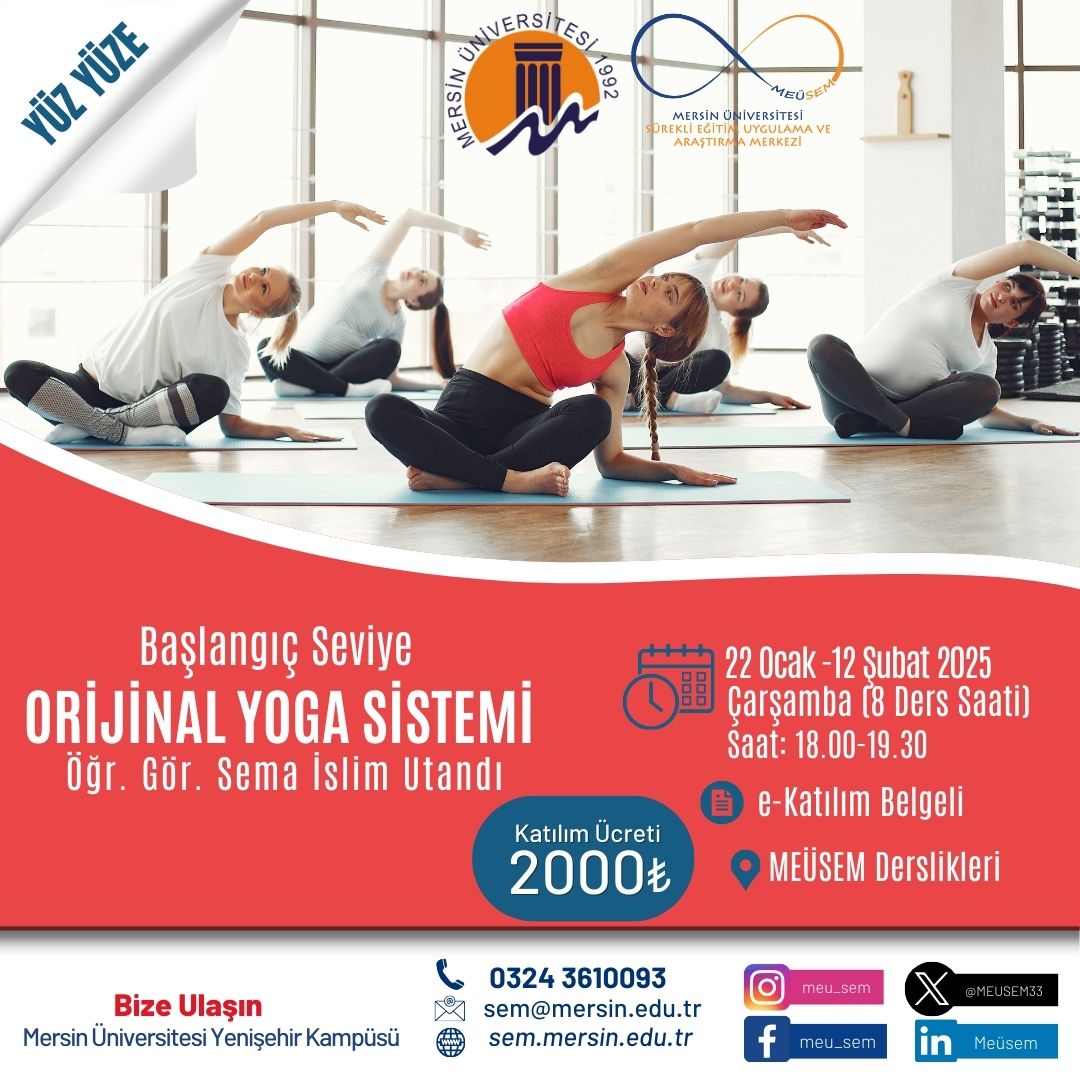 Başlangıç Seviye Orijinal Yoga Sistemi Yüzyüze